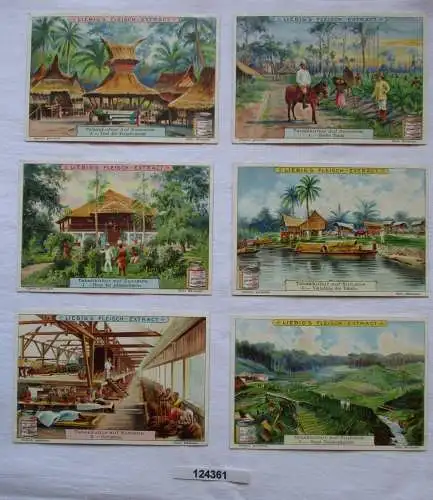 4/124361 Liebigbilder Serie Nr. 547 Tabakkultur auf Sumatra 1902