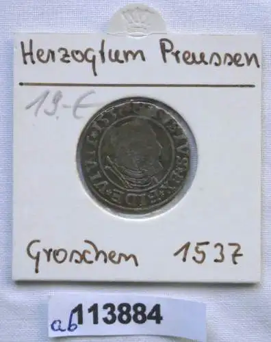 1 Groschen Silber Münze Preussen Albrecht von Brandenburg 1537 (113884)