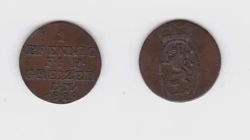 1 Pfennig Kupfer Münze Reuss ältere Linie 1829 Jahrgang R! (130489)
