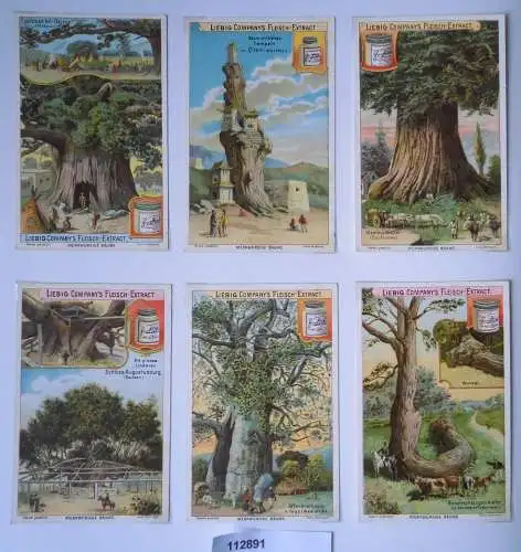112891 Liebigbilder Serie Nr. 539 Merkwürdige Bäume I 1902