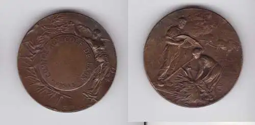 Medaille Comice Agricole de Laon Aisne Adolphe Rivet um 1900 (139225)