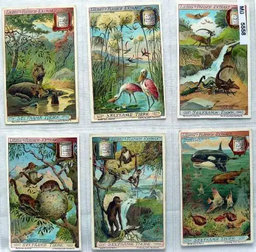 Liebigbilder Serie 887 Seltsame Tiere, komplett 1913 (8/101115)