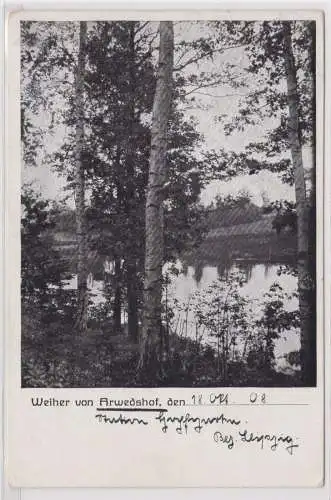 900914 AK Weiher von Arvedshof, Waldpartie mit Blick auf den Weiher 1908