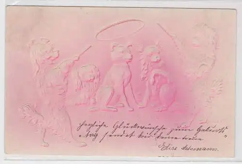 05351 Künstler Präge AK Hundezaubershow, 2 Hunde mit Zauberstab 1904