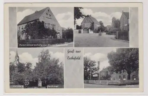 99686 AK Gruß aus Eschefeld - Kolonialwarenhandlung Bruno Taggeselle, Schule