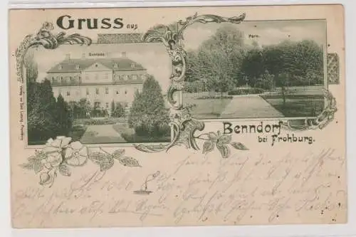 99668 AK Gruss aus Benndorf bei Frohburg - Schloss und Park 1903