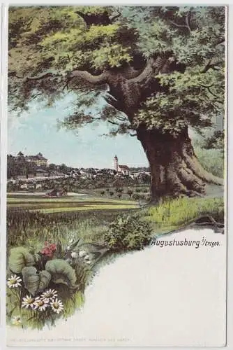 95950 Ak Augustusburg im Erzgebirge mit großer Eiche um 1900