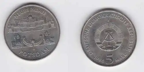 DDR Gedenk Münze 5 Mark Potsdam Neues Palais 1986 vorzüglich plus (136813)