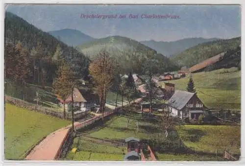 54836 Ak Drechslergrund bei Bad Charlottenbrunn Jedlina-Zdrój 1919