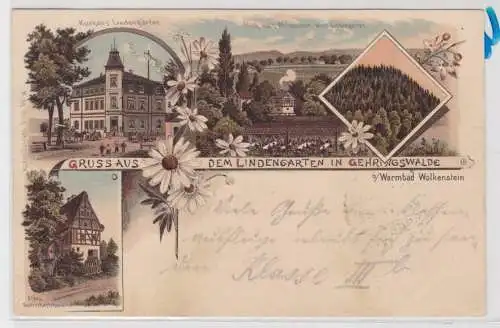 85102 Ak Lithographie Gruß aus dem Lindengarten Geringswalde 1904