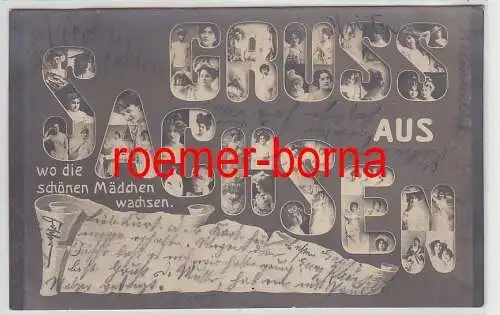 77978 Mikroskop Postkarte Grüsse aus Sachsen wo die schönen Mädchen wachsen 1904