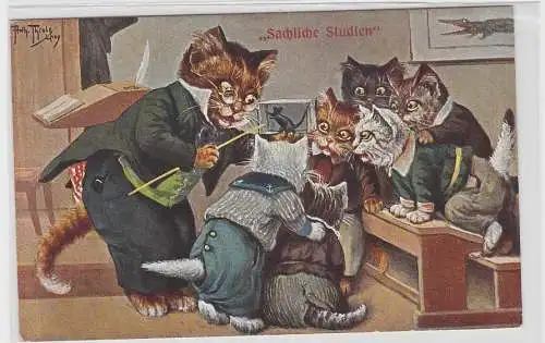 89086 Arthur Thiele Künstler Ak Katze "Sachliche Studien" um 1910
