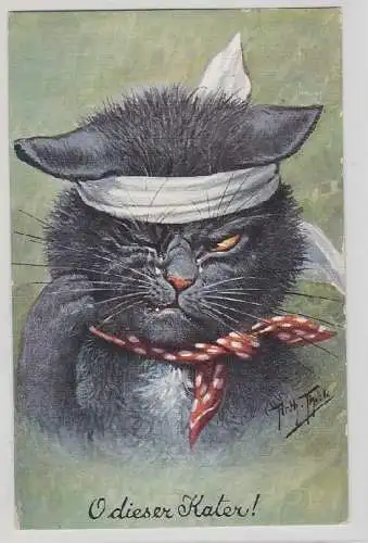 79317 Arthur Thiele Künstler Ak Katze "O dieser Kater!" 1907