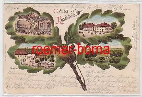 76827 Ak mit Eichenlaub Gruss vom Rosinhäuschen Freiberg 1901