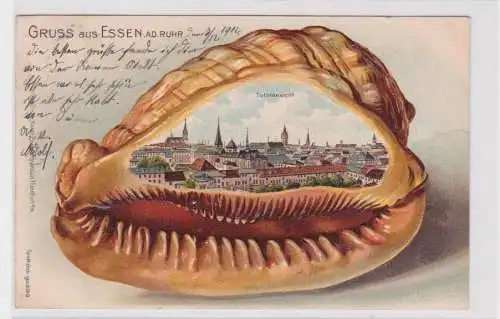 907342 Muschel Präge Ak Gruß aus Essen an der Ruhr Totalansicht 1902