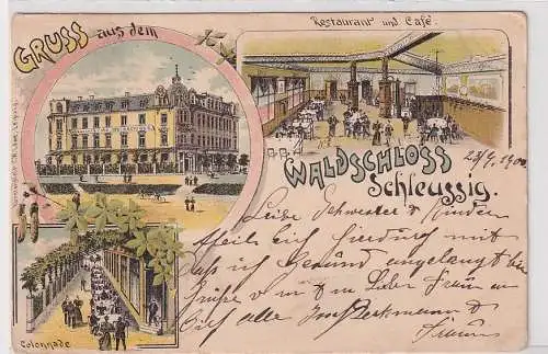 907976 Ak Lithographie Gruß aus dem Waldschloss Schleussig 1900