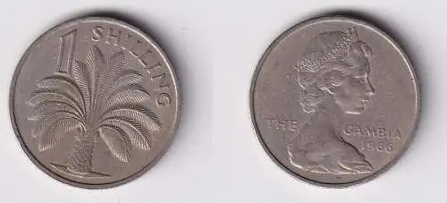 1 Shilling Kupfer Nickel Münze Gambia 1966 Palme ss (167164)