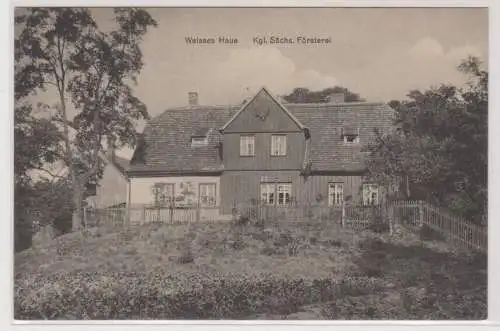 75224 Ak Wurzen - weisses Haus, kgl. sächs. Försterei um 1920