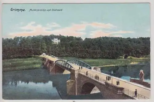 94089 Ak Grimma Muldenbrücke und Stadtwald um 1910