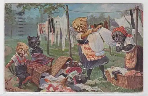 87290 Arthur Thiele Künstler Ak Katzen hängen Wäsche auf 1924