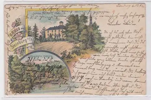 89495 AK Gruss aus Steinburg in Thüringen - Schlossmühle & Schloss 1900