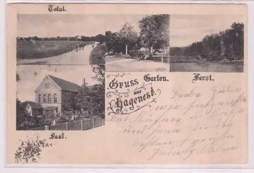 95140 Mehrbild Ak Gruß aus Hagenest Gasthof, Saal, Garten usw. 1901