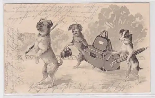 900329 Künstler Präge AK Hunde verreisen mit Koffern und Taschen 1903