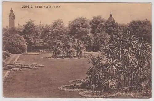 901407 Ak Leipzig - Partie im König-Albert-Park 1913