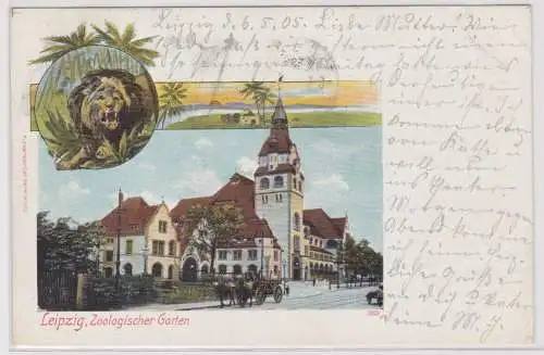 95493 Lithographie AK Leipzig - Zoologischer Garten, Löwe 1905
