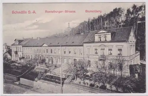 900968 AK Schmölln S.-A. - Ronneburger-Strasse, Blumenberg 1909