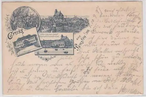 01153 Mehrbild Ak Gruß aus Penzlin Logirhaus "Seehof" 1897