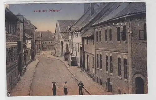 01048 Ak Gruß aus Pabstorf Strassenansicht um 1910