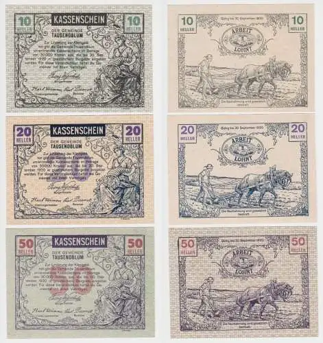 10, 20 und 50 Heller Banknoten Notgeld Gemeinde Tausendblum 1920 (154681)