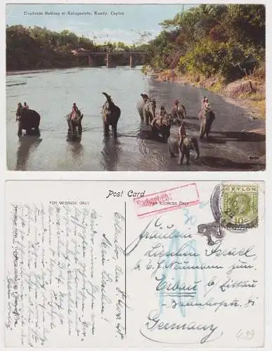 51706 Elefanten baden bei Katugastota Kandy Ceylon Sri Lanka 1928