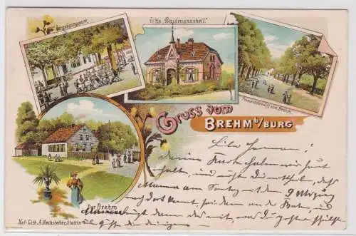 27352 Ak Lithographie Gruß vom Brehm bei Burg 1902