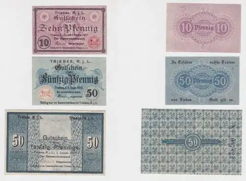 10 - 50 Pfennig Banknote Notgeld Gemeinde Triebes RjL 1917/18 (136231)