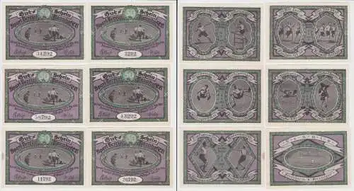 6 Banknoten Notgeld Naunhof Sportverein e.V. 1921 (154061)