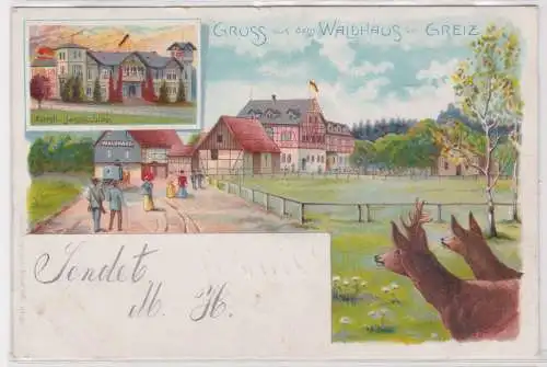 900632 AK Gruss aus dem Waldhaus bei Greiz - Fürstl. Jagdschloss 1902
