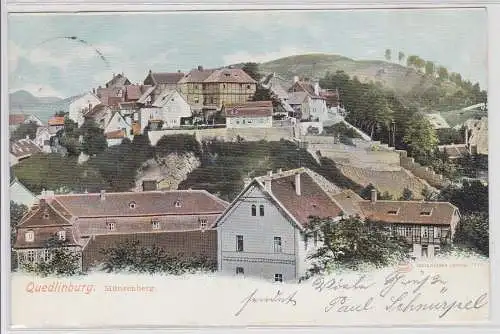 74657 Ak Quedlinburg - Blick auf den Münzenberg 1904