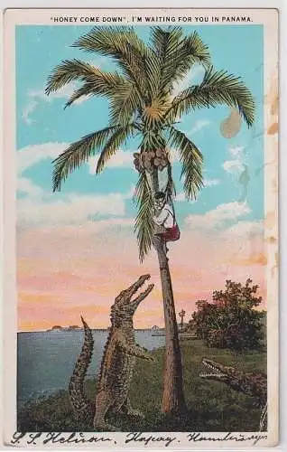 65848 Humor Ak "Honey come down" i´m waiting for you in Panama um 1920