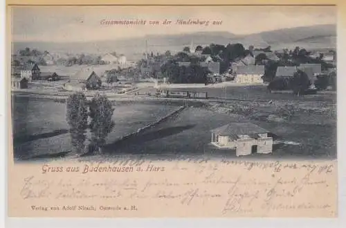 55601 Ak Gruß aus Badenhausen am Harz 1902