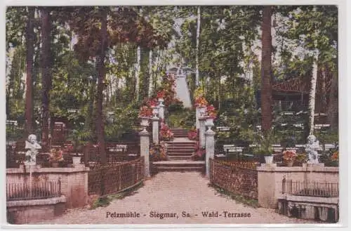 900244 Ak Siegmar - Gruß aus der Pelzmühle, Wald-Terrasse, Gartenpartie