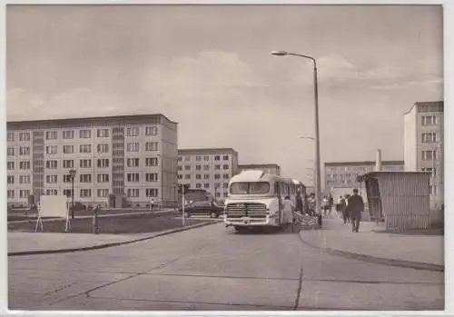 906037 AK Halle-Neustadt - Neubaugebiet mit Omnibussen an Haltestelle 1968