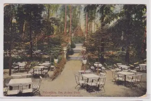 76009 AK Pelzmühle - Bahnstation Siegmar, Bes. Arthur Peter, Gartenpartie 1923