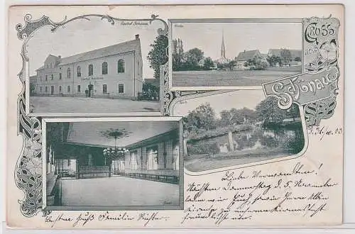 62316 Mehrbild Ak Gruß aus Schönau Gasthof, Kirche, Teich 1903