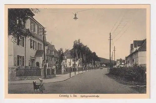 47150 Ak Coswig in Sachsen Spitzgrundstrasse um 1930
