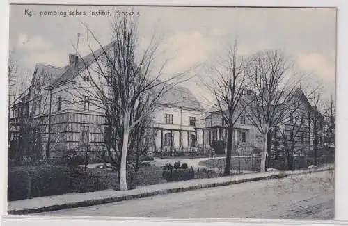 48325 Ak Proskau (polnisch Prószków) kgl.pomologisches Institut 1906