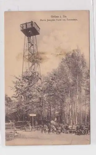 904419 Ak Grüna i. Sachsen - Maria Josepha-Turm am Totenstein um 1910