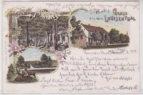 79887 Ak Lithographie Gruß aus dem Louisenthal 1899