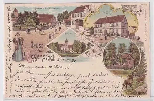 92528 Ak Lithographie Gruß aus Eggenstedt Gasthof, Gutspark usw. 1889